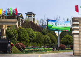 捷報(bào)頻傳:湘豐茶業(yè)集團(tuán)榮獲標(biāo)桿龍頭企業(yè)、長沙市現(xiàn)代農(nóng)業(yè)高科技產(chǎn)業(yè)化基地稱號 捷報(bào)頻傳:湘豐茶業(yè)集團(tuán)榮獲標(biāo)桿龍頭企業(yè)、長沙市現(xiàn)代農(nóng)業(yè)高科技產(chǎn)業(yè)化基地稱號