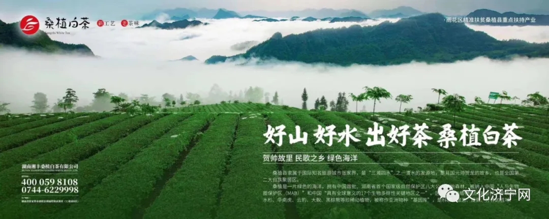 微信圖片_202006080959094.jpg 微信圖片_202006080959094.jpg