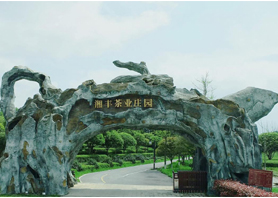湘豐茶業獲評湖南農業優勢特色產業30強企業 湘豐茶業獲評湖南農業優勢特色產業30強企業