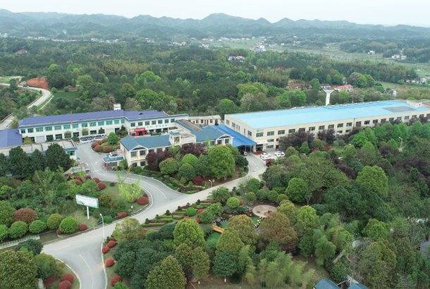 武夷學院旅游學院郭偉峰副院長一行考察湘豐茶旅 武夷學院旅游學院郭偉峰副院長一行考察湘豐茶旅