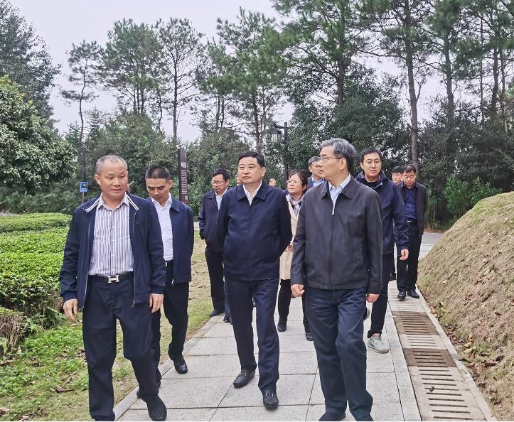 蘇州市市委副書記朱民一行考察湘豐茶業集團 蘇州市市委副書記朱民一行考察湘豐茶業集團