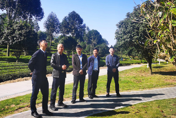 農業部發展規劃司副司長趙曉明一行調研湘豐茶業集團 農業部發展規劃司副司長趙曉明一行調研湘豐茶業集團