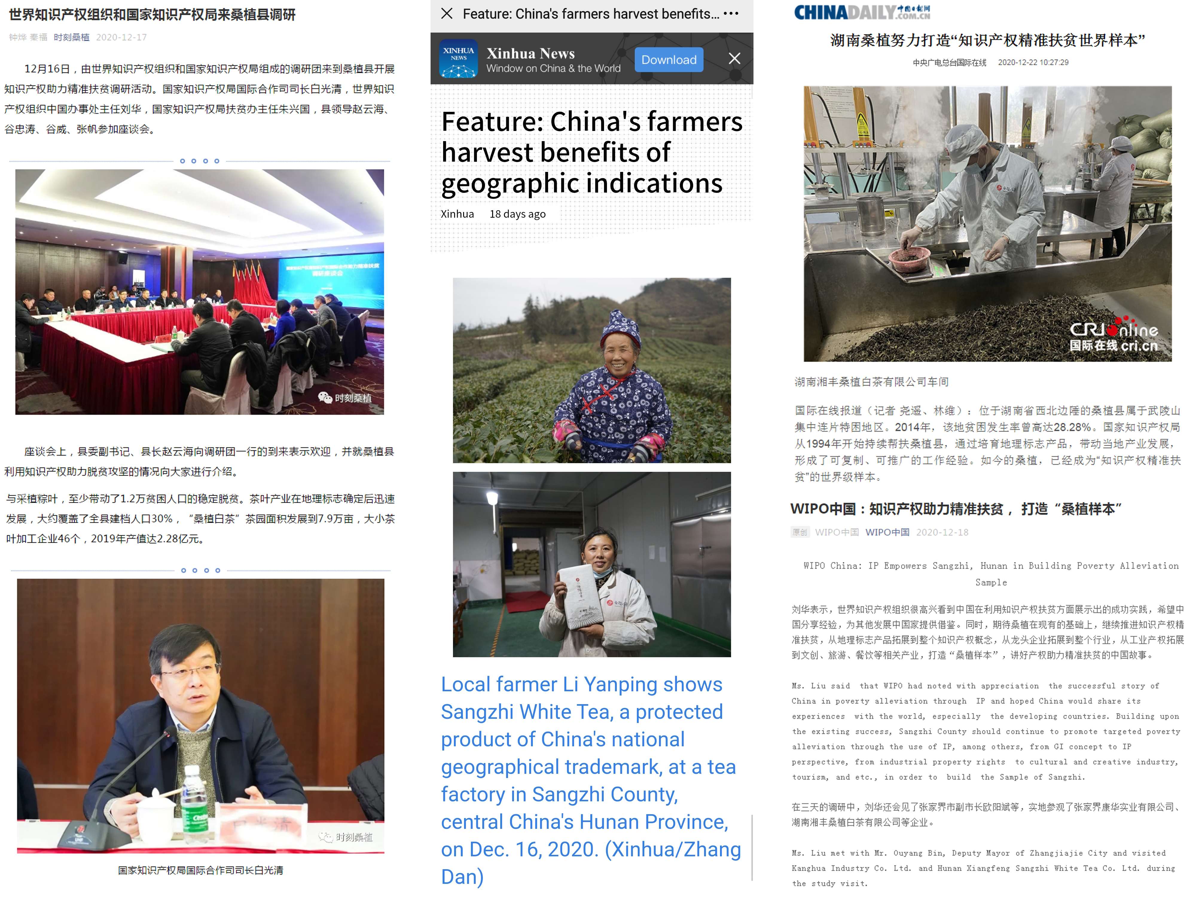 011213083993_0外媒稿件截圖.jpg 011213083993_0外媒稿件截圖.jpg