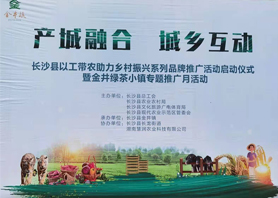 好喝更好看!湘豐茶業閃耀慧潤盈商小鎮“金井鎮專題推廣月活動” 好喝更好看!湘豐茶業閃耀慧潤盈商小鎮“金井鎮專題推廣月活動”