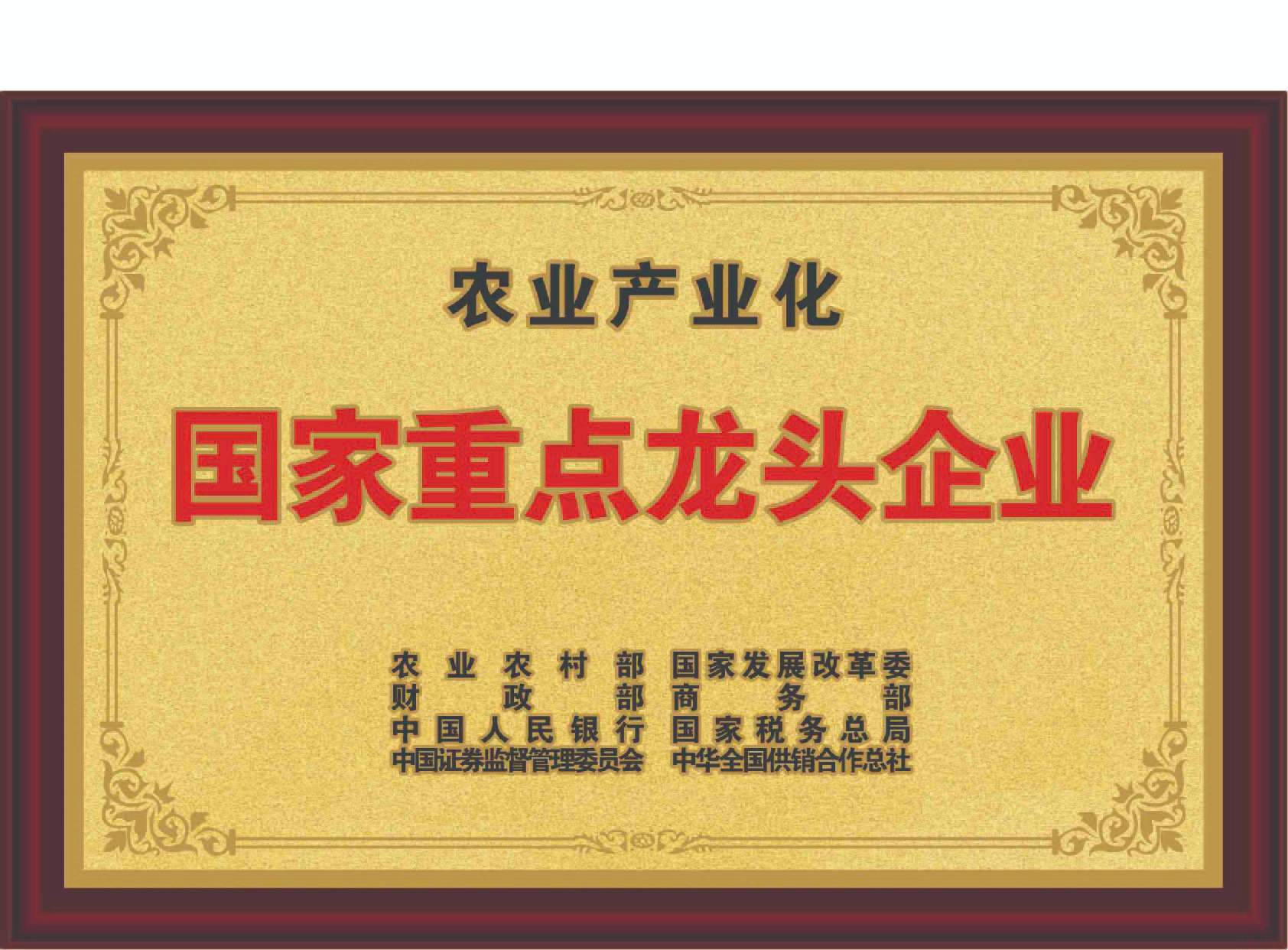農(nóng)業(yè)產(chǎn)業(yè)化國(guó)家重點(diǎn)龍頭企業(yè)