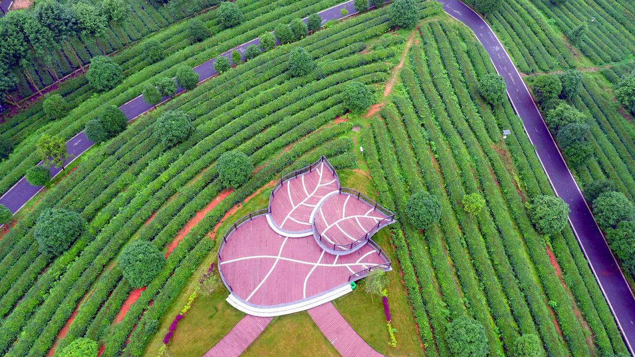 60573ddba8808.jpg 60573ddba8808.jpg