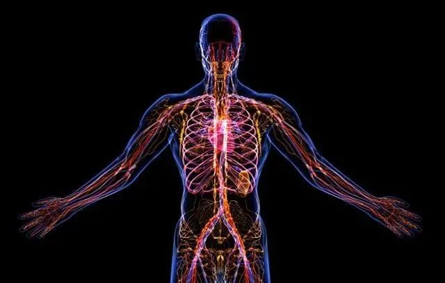 復旦大學重磅突破:茶是打通人體經絡最有效的食品 復旦大學重磅突破:茶是打通人體經絡最有效的食品