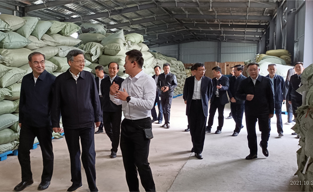 湖南省委常委、政法委書記李殿勛調(diào)研湖南湘豐桑植白茶有限公司 湖南省委常委、政法委書記李殿勛調(diào)研湖南湘豐桑植白茶有限公司