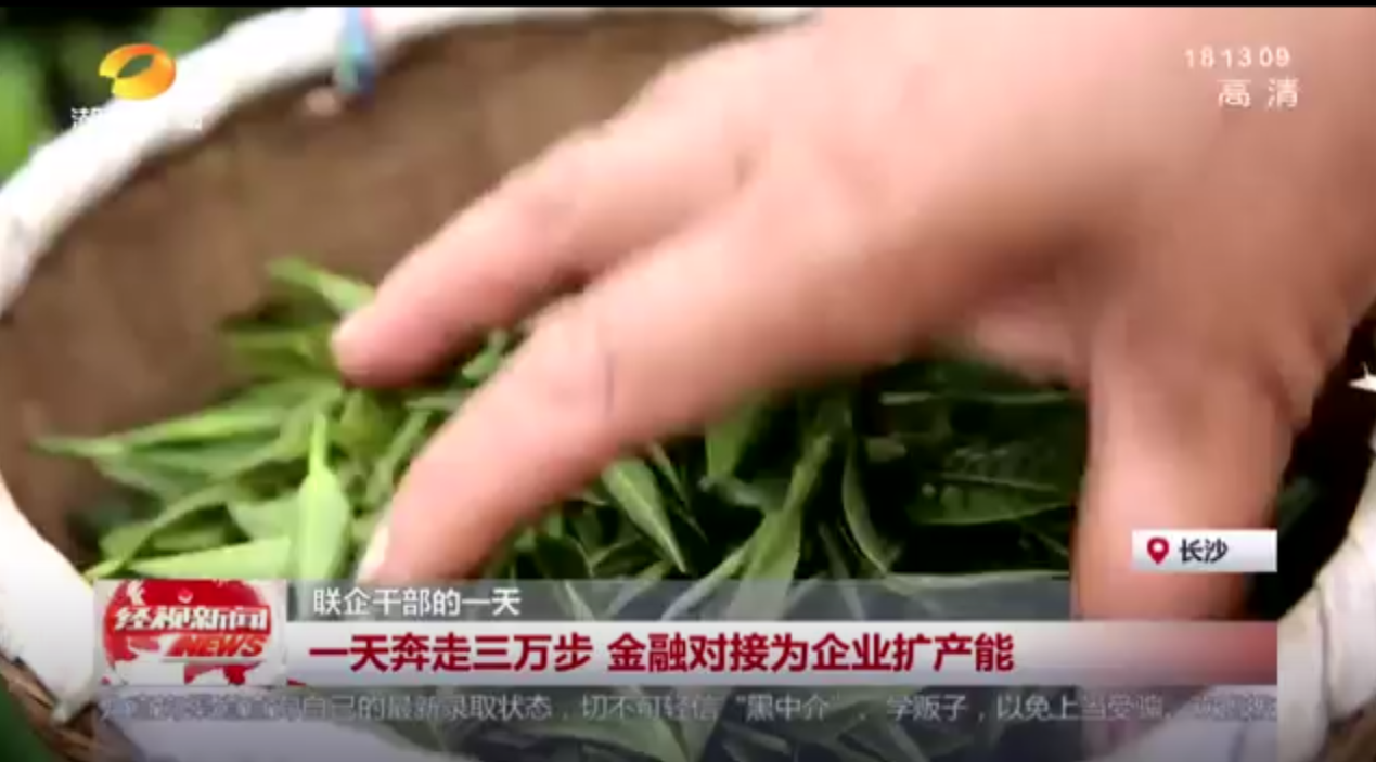 聯企干部的一天 一天奔走三萬步 金融對接為企業擴產能 聯企干部的一天 一天奔走三萬步 金融對接為企業擴產能