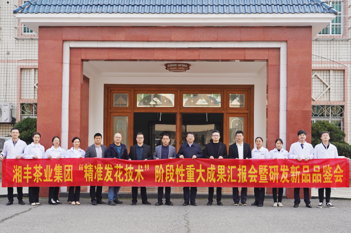 湘豐茶業(yè)集團(tuán)“精準(zhǔn)發(fā)花技術(shù)”取得重大階段性成果！