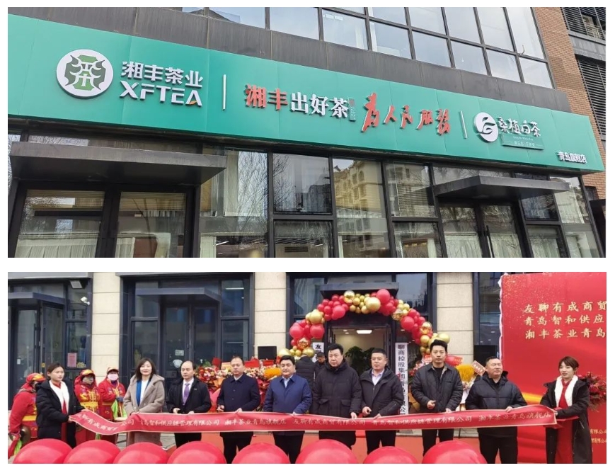 青島旗艦店盛大開業！湘豐茶業集團全國布局再下一城