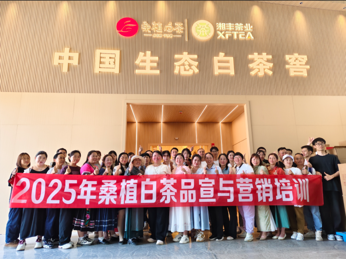 茶香賦能,紅色傳承丨湘豐桑植白茶品宣與營銷培訓(xùn)(第三期) 茶香賦能,紅色傳承丨湘豐桑植白茶品宣與營銷培訓(xùn)(第三期)